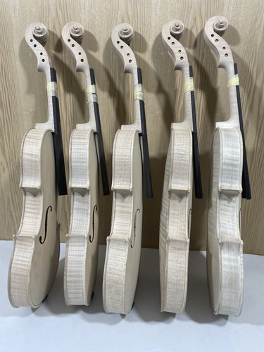 Violino incompiuto full - violino,