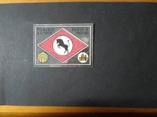 Figurina calcio Scudetto   TORINO -   PANINI 66/67  -  NEW CON VELINA