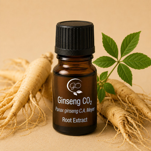 Estratto radice ginseng - estratto,