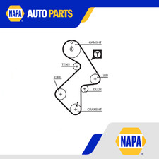 Cinghia distribuzione adatta