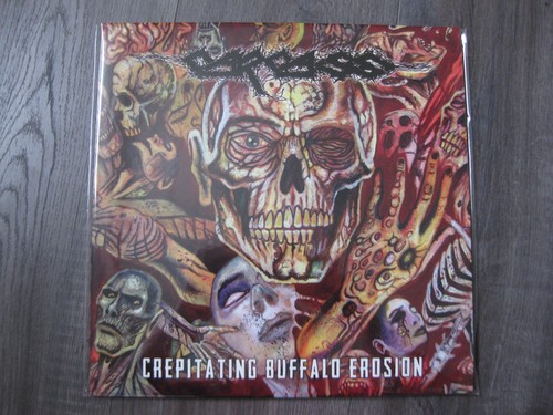 Carcass crepitating buffalo - carcass,