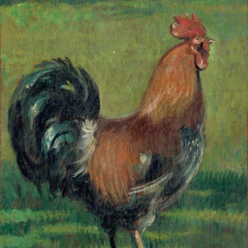 Dipinto olio gallo ruspante - dipinto,
