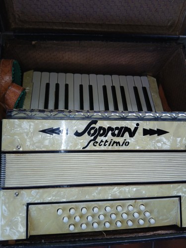 Fisarmonica vintage settimio - fisarmonica,