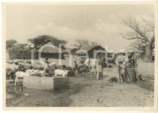 1937 AOI SOMALIA ITALIANA - Pozzo nel villaggio di TORDA - Foto ANIMATA