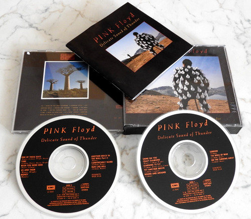 Pink floyd delicate sound - floyd, of