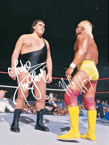 Andre the giant hulk - giant,