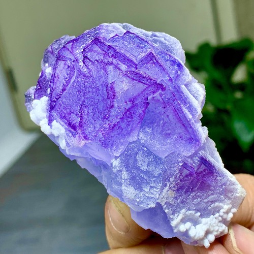 130g natural transparent - natural,