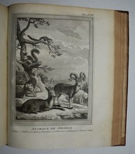 ISLANDA - SIBERIA - fig. 1779