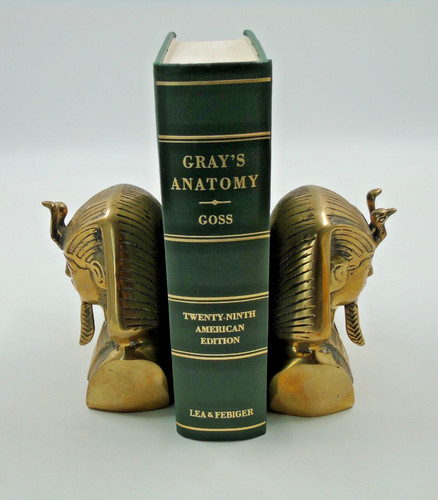 Vintage gray anatomy 1973 - vintage,