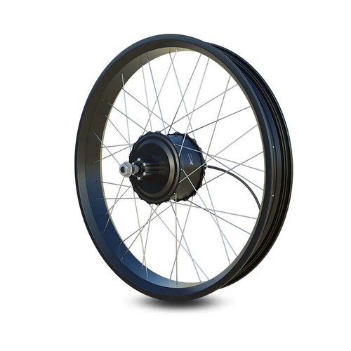 Mozzo ingranaggio brushless