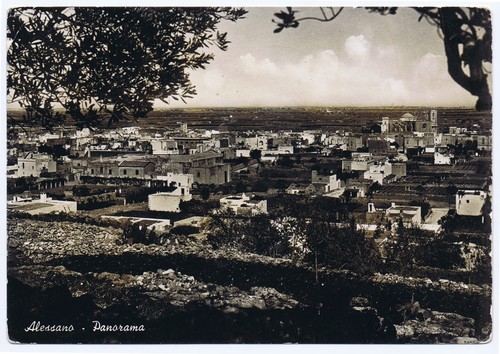 Alessano panorama - panorama,