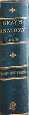 1924 Grays Anatomy Of The