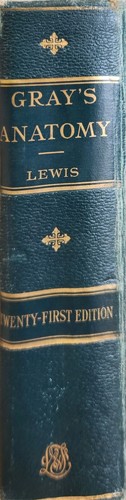 1924 grays anatomy - grays, the