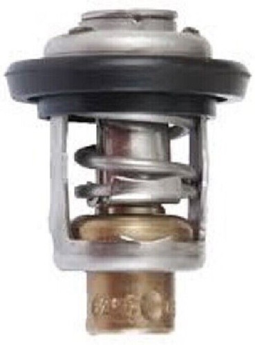 Termostato fuoribordo evinrude - termostato,