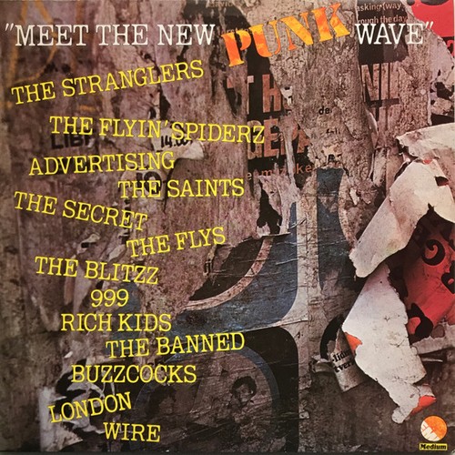 Various meet the new - the, (punk)