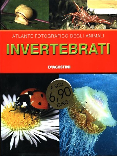 Invertebrati animali vv - invertebrati,