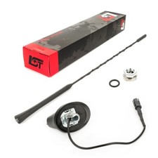 Antenna Da Tetto FM/AM Auto