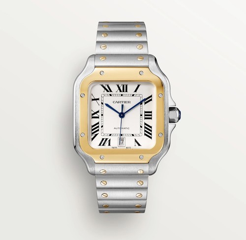 Cartier santos - santos,