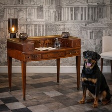 Scrivania Carlton House Desk