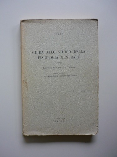 Guida allo studio della
