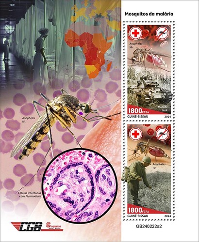 Zanzare malaria