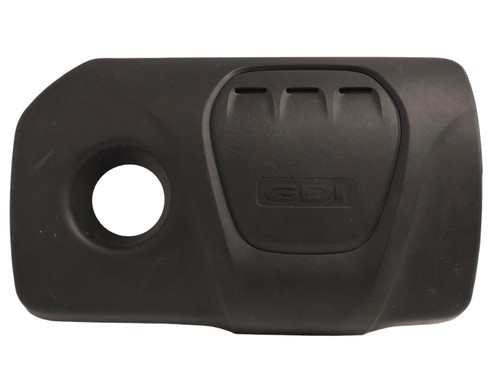 292402b100 coperchio motore - coperchio,