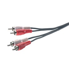 Cavo audio da 2 RCA maschio a
