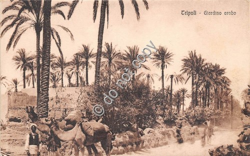 Cartolina postcard tripoli - -,