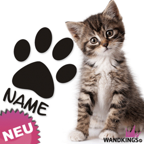 Zampa con nome scelta - nome, gatto