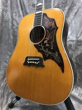 Chitarra acustica-elettrica