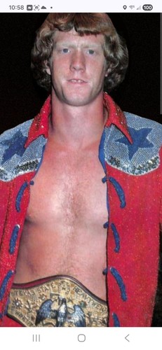 Wrestling superstars david - superstars,