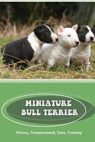 Miniature bull terrier - miniature,