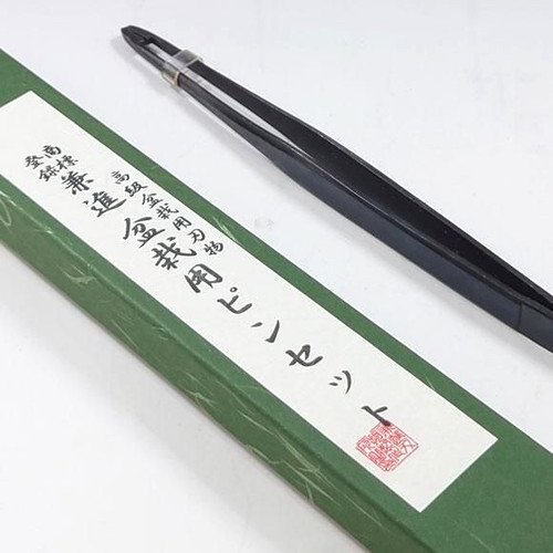 Kaneshin pinzetta - kaneshin,