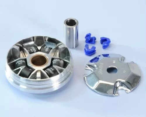 241687 variatore polini - 241687,