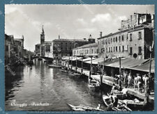 CHIOGGIA, Venezia. Pescheria. Cartolina d'epoca viaggiata