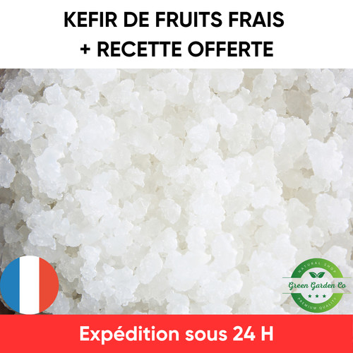 Kéfir eau kit - d’eau, démarrage