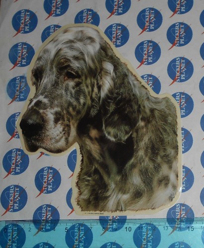 Adesivo sticker vintage - sticker,
