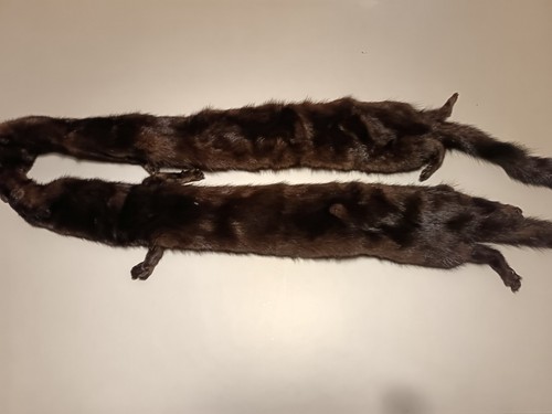 Collo pelliccia visone - collo,