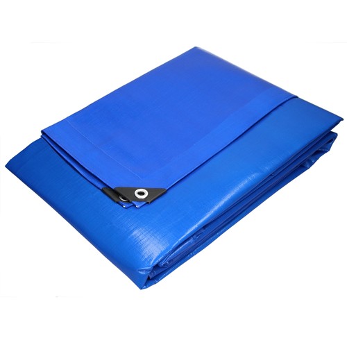 Telone occhiellato