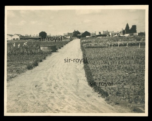 Orleans 1930 turbat cie - cie, e