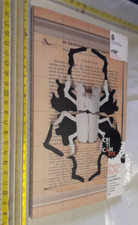 LAURA BARRECA PIETRO RUFFO CRITICA IN ARTE COMUNE DI RAVENNA+ SPEDIZIONE SDAincl