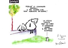Bruno bozzetto stampa foto - bozzetto,