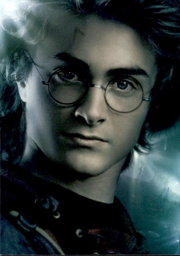 Panini harry potter saga - potter,