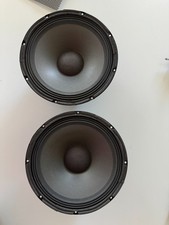 Woofer usati 12" 25 cm coppia