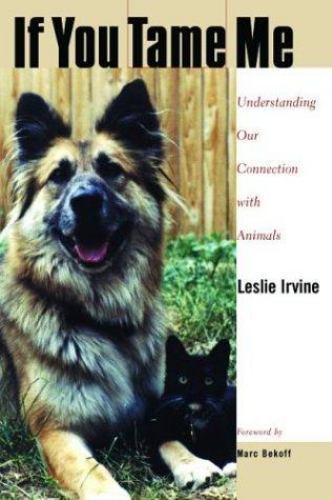 You tame understanding - if,