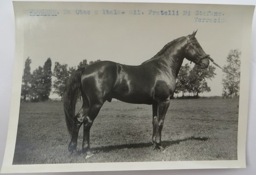 1920 terracina latina - terracina,