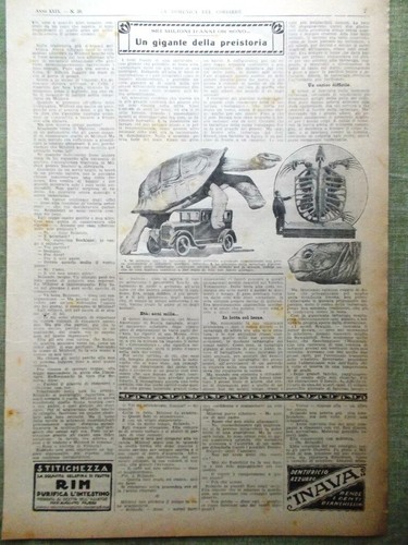 Estratto rivista 1927 - estratto, da