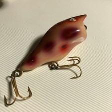 esca, acqua superiore, unica