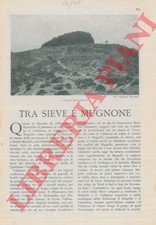 Firenze - PUCCIONI - Tra Sieve