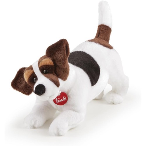Trudi jack russel - trudi, cane